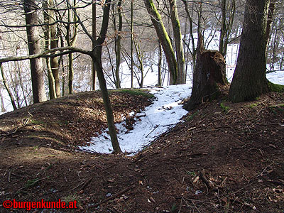 Burgstallanger Castrum Olber