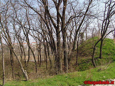 Ruine Tabor in Neusiedl am See / Burgenland