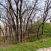 Ruine Tabor in Neusiedl am See / Burgenland