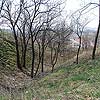 Ruine Tabor in Neusiedl am See / Burgenland