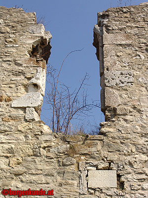 Ruine Tabor in Neusiedl am See / Burgenland