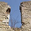 Ruine Tabor in Neusiedl am See / Burgenland
