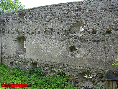 Ruine Araburg