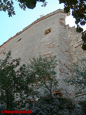 Burgruine Falkenstein Niederösterreich