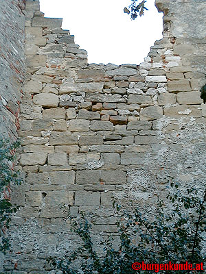 Burgruine Falkenstein Niederösterreich