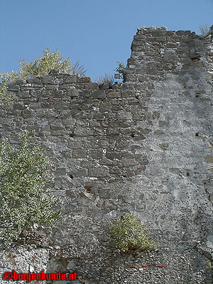 Burgruine Falkenstein Niederösterreich