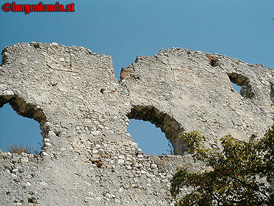 Burgruine Falkenstein Niederösterreich