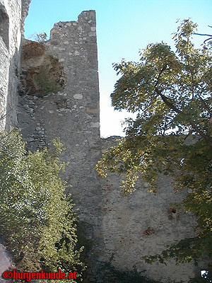 Burgruine Falkenstein Niederösterreich