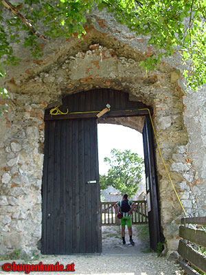 Burgruine Falkenstein Niederösterreich