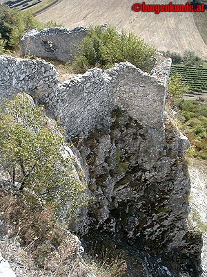 Burgruine Falkenstein Niederösterreich