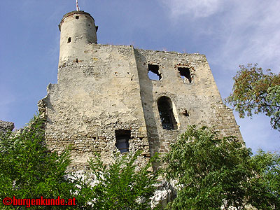 Burgruine Falkenstein Niederösterreich