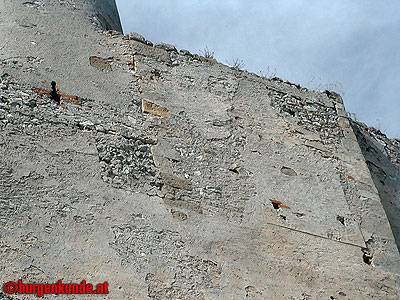 Burgruine Falkenstein Niederösterreich