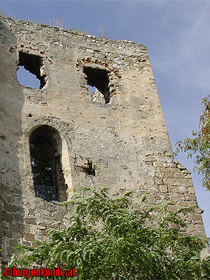 Burgruine Falkenstein Niederösterreich