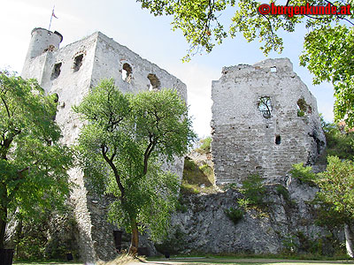 Burgruine Falkenstein Niederösterreich