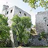 Burgruine Falkenstein