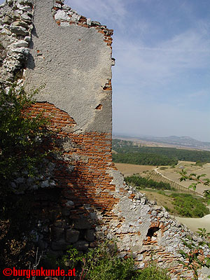 Burgruine Falkenstein Niederösterreich