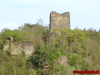 Ruine Kamegg am Kamp/ Niederösterreich