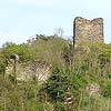 Ruine Kamegg am Kamp/ Niederösterreich