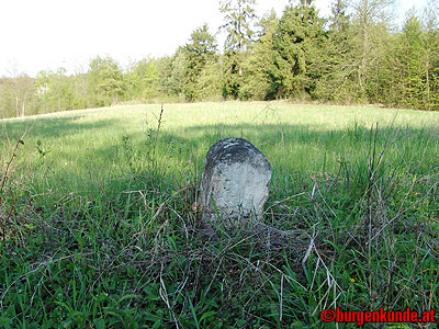 Ruine Kamegg am Kamp/ Niederösterreich