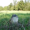 Ruine Kamegg am Kamp/ Niederösterreich