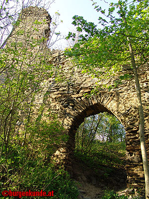 Ruine Kamegg am Kamp/ Niederösterreich