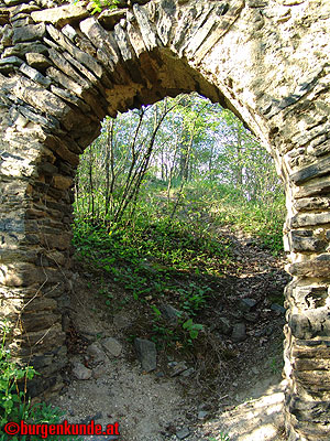 Ruine Kamegg am Kamp/ Niederösterreich