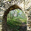 Ruine Kamegg am Kamp/ Niederösterreich