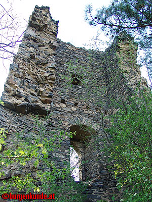 Ruine Kamegg am Kamp/ Niederösterreich