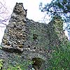 Ruine Kamegg am Kamp/ Niederösterreich