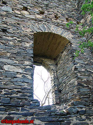 Ruine Kamegg am Kamp/ Niederösterreich