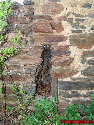 Ruine Kamegg am Kamp/ Niederösterreich