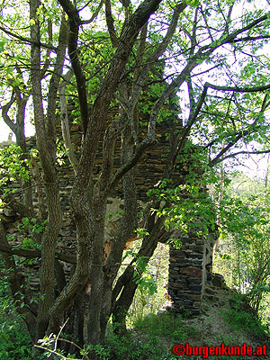 Ruine Kamegg am Kamp/ Niederösterreich