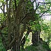 Ruine Kamegg am Kamp/ Niederösterreich