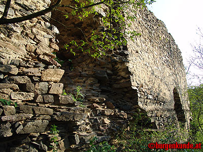 Ruine Kamegg am Kamp/ Niederösterreich