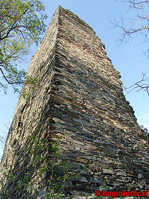 Ruine Kamegg am Kamp/ Niederösterreich