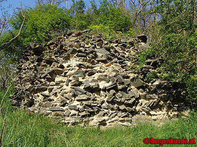 Ruine Kamegg am Kamp/ Niederösterreich