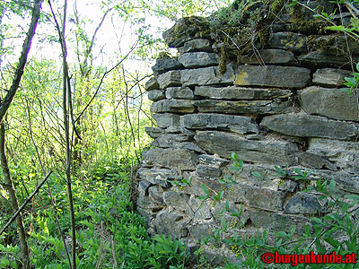 Ruine Kamegg am Kamp/ Niederösterreich