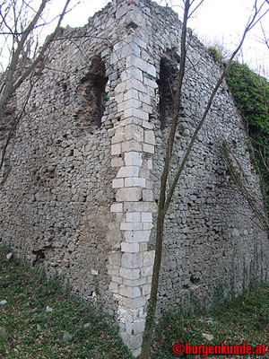 Ruine Scharfeneck bei Mannersdorf am Leithagebirge
