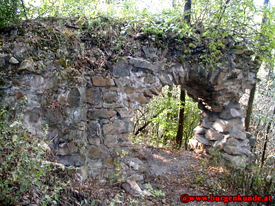 Ruine Falkenberg