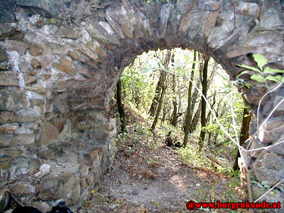 Ruine Falkenberg