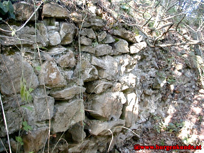 Ruine Falkenberg