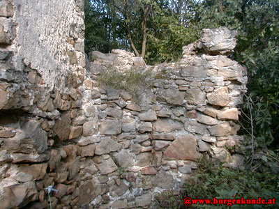 Ruine Falkenberg