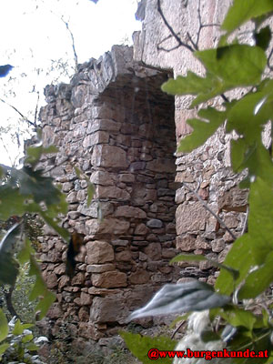 Ruine Falkenberg