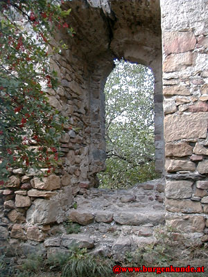 Ruine Falkenberg