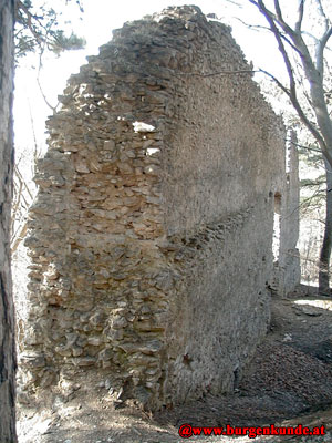 Ruine Kammerstein