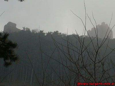 Ruine Rauheneck