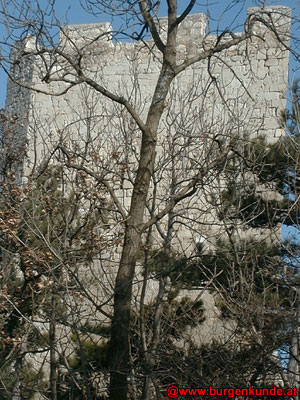 Ruine Rauheneck