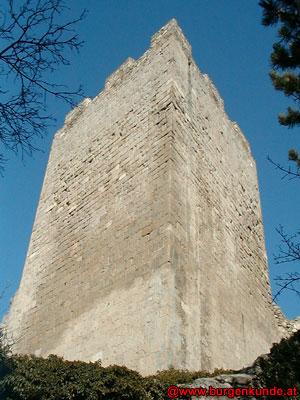 Ruine Rauheneck