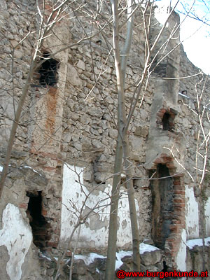 Ruine Rauheneck