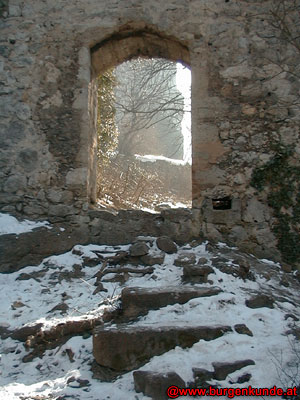 Ruine Rauheneck